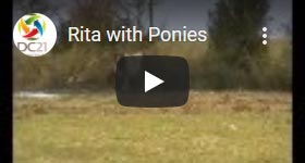 Video our first wind turbine 'Rita' showing the reaction of horses